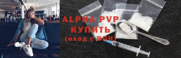 a pvp Тайга